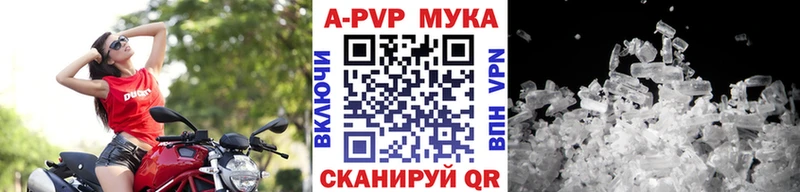 A-PVP СК КРИС  Козловка 