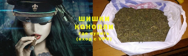 индика Баксан