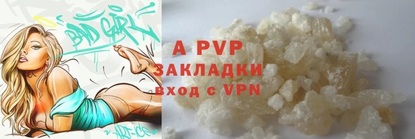 амф Россошь
