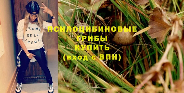 индика Баксан