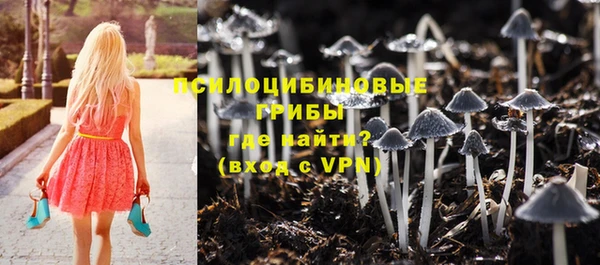 индика Баксан