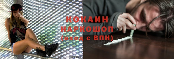 индика Баксан