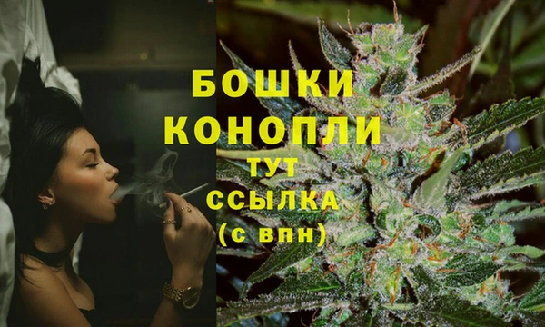 индика Баксан