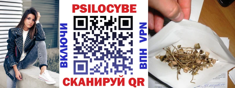 мега как зайти  Козловка  Галлюциногенные грибы Psilocybine cubensis 